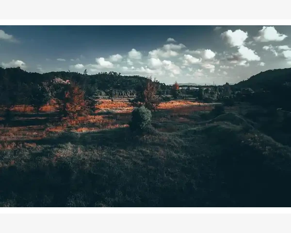 女生补气血：喝什么泡水最有效？
