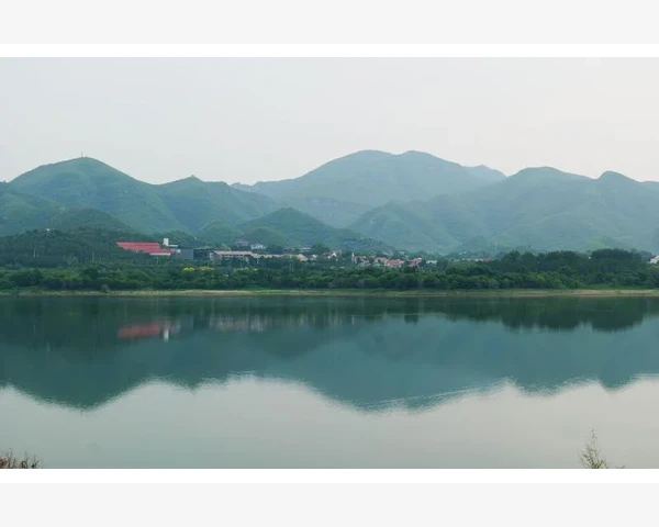 女生胃疼吃什么粥养胃